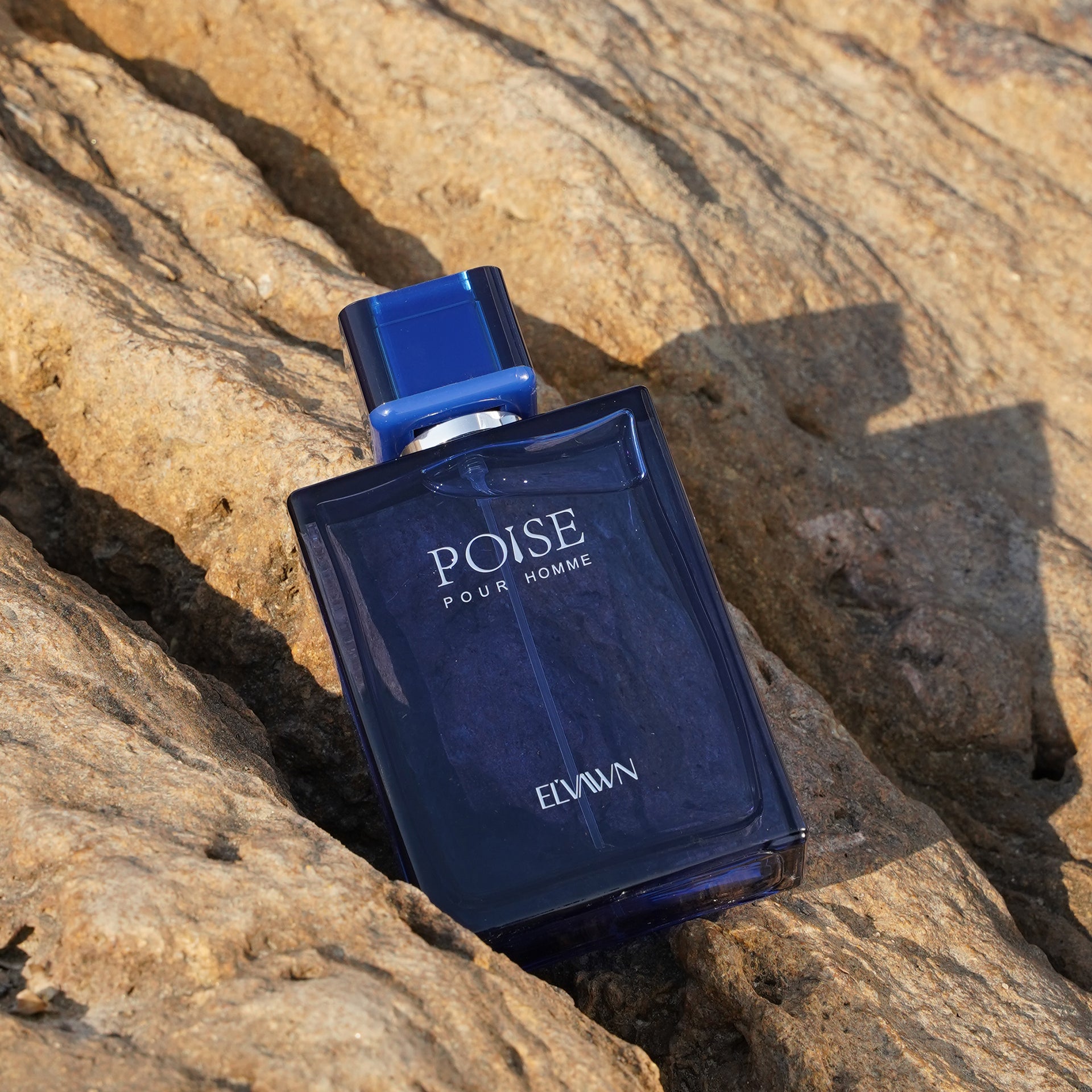 Poise Pour Homme By Elvawn UAE